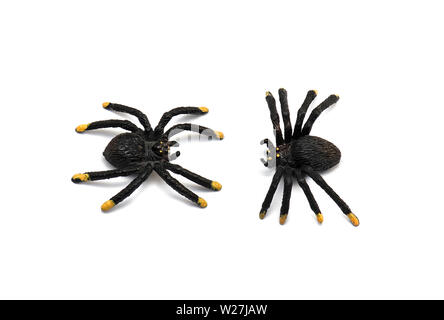 Zwei Kunststoff Spider Spielzeug isoliert auf weißem Hintergrund Stockfoto
