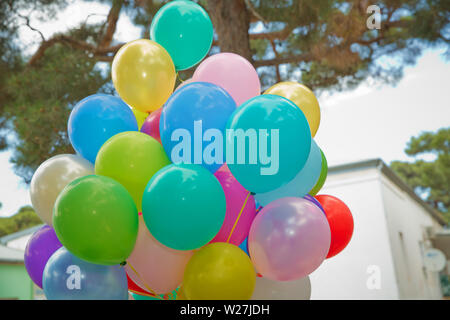 Bunte Ballone in den Himmel. Bündel von bunten Luftballons in den grünen Hintergrund. Viele bunte Luftballons für die Party im Freien Stockfoto