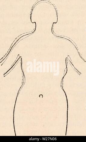 Archiv Bild von Seite 296 des cyclopaedia von Anatomie und Stockfoto