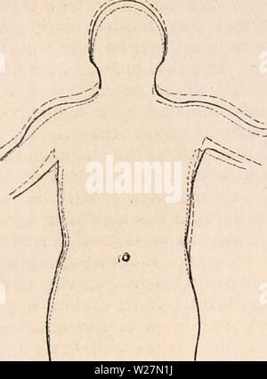 Archiv Bild von Seite 296 des cyclopaedia von Anatomie und Stockfoto