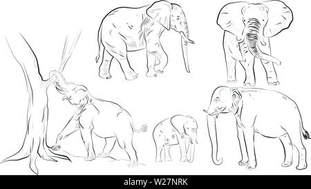 Elephant Silhouette Vector Set Stock Vektor