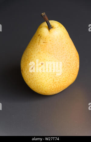 Gelbe Williams Birne auf grauem Hintergrund Stockfoto