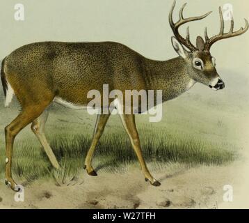 Archiv Bild von Seite 314 des Hirsch von allen Ländern, Stockfoto