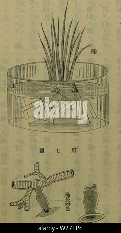 Archiv Bild von Seite 316 des Dbutsugaku zasshi (1889) Stockfoto