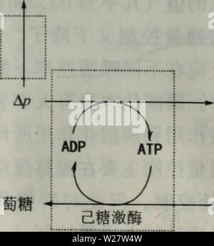 Archiv Bild ab Seite 318 von Dai Xie gong Cheng (200312) dai Xie gong Cheng daixiegongcheng 00 greg Jahr: 2 Stockfoto