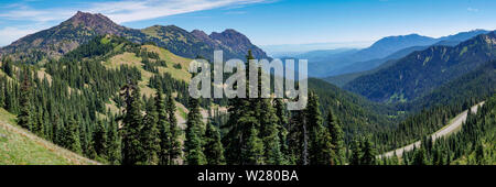 Hurricane Ridge, Olympic National Park, Washington, USA. Blick vom Wanderweg. Stockfoto