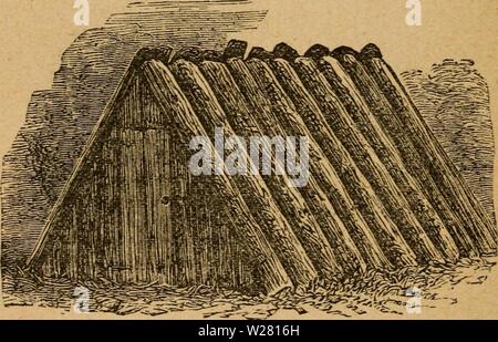 Archiv Bild von Seite 337 des käser's Manual; eine praktische. Der milchmann Handbuch; eine praktische Abhandlung über die Molkerei dairymansmanualp 01 Eintopf Jahr: 1888 332 DER MILCHMANN HANDBUCH. Pool in wliicli die Milch wird gehalten für die Creme zu trennen. Im Hinblick auf die kühlende Wirkung von Eis es wieder-Gliedrigen, dass die niedrige Temperatur wird nur durch die Ausgaben des Eis gewonnen, und es ist die Frage, ob es besser ist die Verwendung eines ice-Haus in die wirtschaftlichste Art und Weise konstruiert, oder verwenden Sie das Eis als kontinuierliche niedrige Temperatur, die mit der bestimmten großen Verschwendung von Eis zu beschaffen, Stockfoto