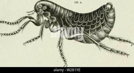 Archiv Bild von Seite 342 des cyclopedia; oder, Universal Wörterbuch Stockfoto