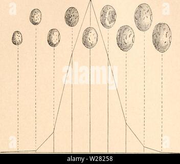 Archiv Bild ab Seite 344 von Das werdener der Organismen zur Stockfoto