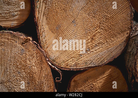 Detailansicht des Schnitts Baumstämmen, die die Alterung der Kreise. Natur Konzept. Querformat. Stockfoto