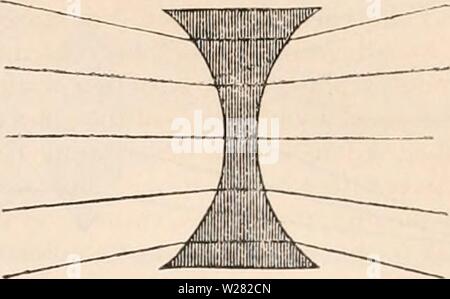 Archiv Bild von Seite 346 des cyclopaedia von Anatomie und Stockfoto