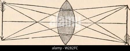 Archiv Bild von Seite 346 des cyclopaedia von Anatomie und Stockfoto