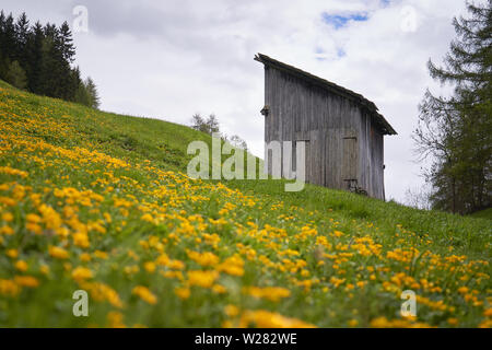 Einen typischen hölzernen Scheune (Tabia in Italienisch) in den Dolomiten Alpen. Querformat. Stockfoto