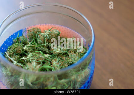 Marihuana Knospen in einem Glas Stockfoto