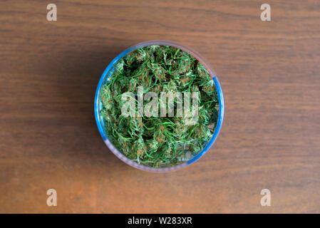 Marihuana Knospen in einem Glas Stockfoto