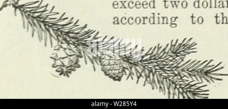 Archiv Bild ab Seite 367 von Cyclopedia von landwirtschaftlichen Kulturpflanzen Stockfoto