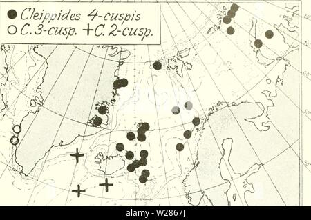 Archiv Bild von Seite 368 des Dänischen Ingolf-Expedition (1899-1953). Die dänische Ingolf-Expedition danishingolfex 3 cpt 8 daniuoft Jahr: 1899-1953 CRUSTACEA MALACOSTKACA. Vii. 287 W Jitf Jtf yfr yt-• yS' - ririlo lfiY '-V Â £ / CJeippides 4-Spitze ist O Â £ • J-7. + C Z-Spitze Chart 51. Cleippid.es, 4-cuspis, C.3, C.2-cuspis - cuspis Auftreten. Die "Ingolf" und andere Expeditionen haben diese Arten an mehreren Stationen gesichert. E. in Grönland: Eilig Einlass, Mund, Zimmer. 1 spec. (Die E.Greenl. Exped. 11-8-1900). Forsblad Fjord, Abt. 100 m., 1 $ ovig., Abt. 185 - 100 m., Steine mit Lehm und Kies, Stockfoto