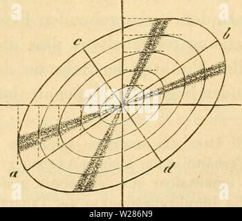 Archiv Bild ab Seite 372 von Das Mikroskop, Theorie und Anwendung Stockfoto