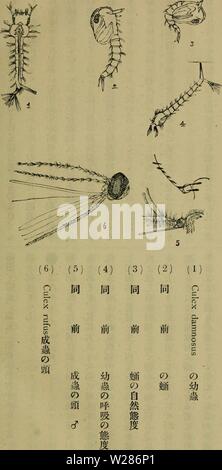 Archiv Bild ab Seite 372 von Dbutsugaku zasshi (1889) Stockfoto
