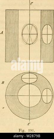 Archiv Bild von Seite 377 Das Mikroskop, Theorie und Anwendung Stockfoto