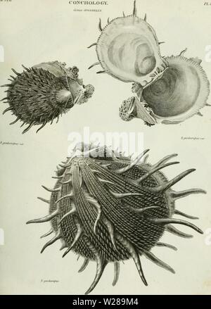 Archiv Bild ab Seite 394 Der cyclopedia; oder, Universal Wörterbuch Stockfoto