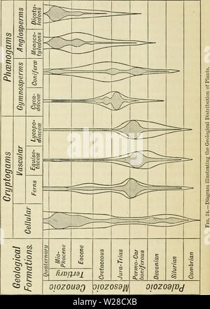 Archiv Bild von Seite 421 des Darwinismus eine Ausstellung von Stockfoto