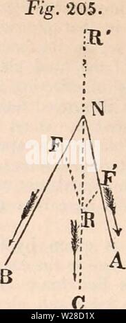 Archiv Bild von Seite 421 des cyclopaedia von Anatomie und. Die cyclopaedia von Anatomie und Physiologie cyclopdiaofana 03 Todd Jahr: 1847 408 MOTION. ar "Schwimmen, Fliegen, Kriechen, Klettern, Springen, Laufen, Walken, &c. Die con-berücksichtigen diese abwechslungsreiche Methoden der Progression beinhaltet die Theorie des Mo- der Körper im Allgemeinen, der Hebel, die Riemenscheibe und die Schwerpunktlage, spezifisches Gewicht, und den Widerstand von Flüssigkeiten, &c.; und, wie wir Gelegenheit für konstante Siehe-ence zur mechanischen Prinzipien, die mit diesen Themen verbunden haben, werden Sie erste, dis- diskutiert; aber fo Stockfoto