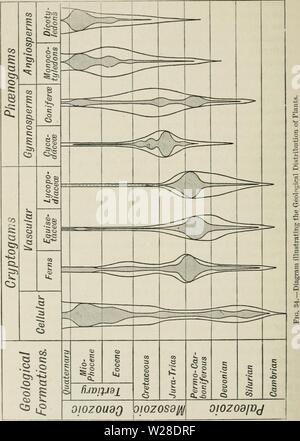 Archiv Bild von Seite 427 des Darwinismus eine Ausstellung von Stockfoto