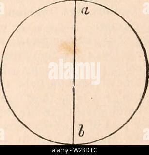 Archiv Bild ab Seite 427 Der cyclopaedia von Anatomie und Stockfoto