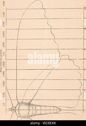 Archiv Bild ab Seite 435 Der cyclopaedia von Anatomie und Stockfoto