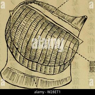 Archiv Bild von Seite 437 Dbutsugaku zasshi (1889) Stockfoto