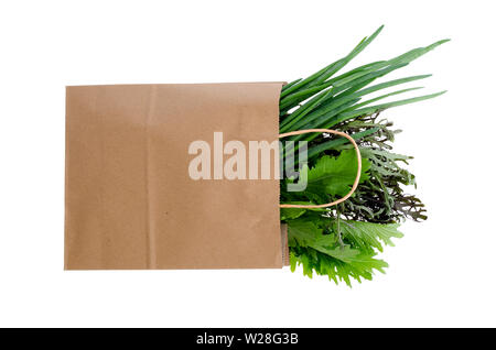 Frischen Grüns in der papiertüte auf Weiß Stockfoto