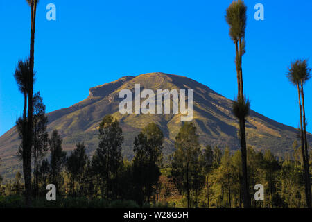 Schönen Blick auf den Mt. Sindoro unter den Bäumen gesehen Stockfoto