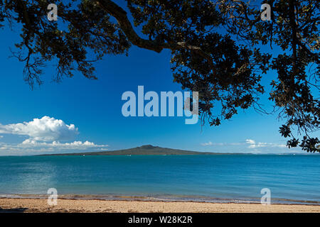 Cheltenham Beach und Rangitoto Island, Devonport, Auckland, Nordinsel, Neuseeland Stockfoto