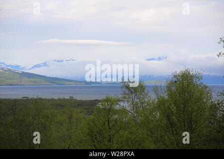 Blick über Abisko Nationalpark und Tornetrask in Schweden. Stockfoto