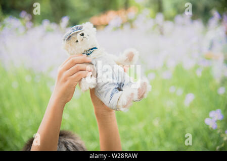 Vibrant outdoor Foto der Teddybär auf dem Hof an der Park mit dem weißen Blume und grüne Gräser Stockfoto