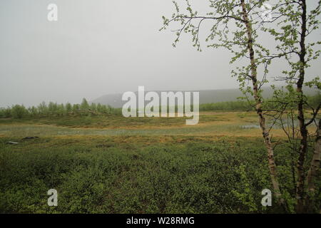 Bog in Nikkaluokta in Schweden an einem regnerischen Tag. Stockfoto