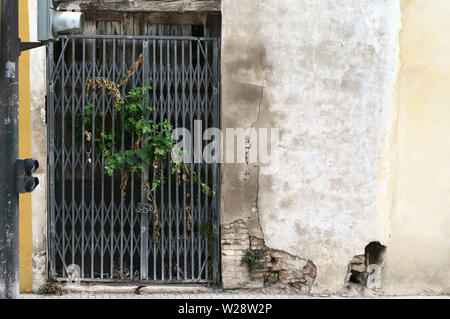 Gatter geschlossen mit Vegetation innen mit verschlechtert Fassade Stockfoto