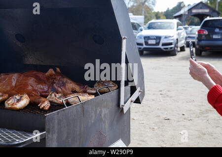 Ein Besucher nimmt ein Foto von einem Schwein Grill auf einem Parkplatz der Vermont Country Store in der Stadt Rockingham, Vermont, USA statt. Stockfoto