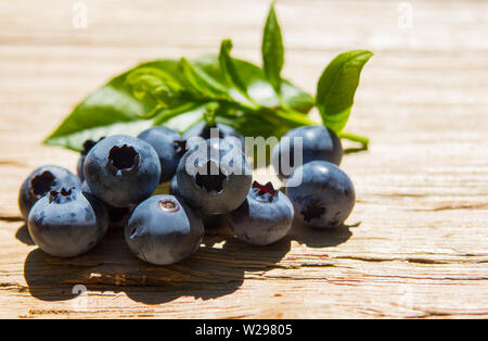 Nahaufnahme von Früchte der Heidelbeere (Vaccinium corymbosum) auf Holzbrett, auch als Northern Highbush Blueberry bekannt Stockfoto