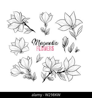 Magnolia Flower Bouquets in der Blüte, schöne Inneneinrichtung und Innenarchitektur, isolierte Illustration Vektor einrichten. Rosa Blumenmuster Skizze Zeichnungen. Spring Blossom realistische Cliparts. Stock Vektor