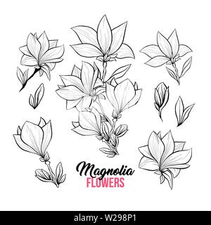 Magnolia Flower Bouquets in der Blüte, schöne Inneneinrichtung und Innenarchitektur, isolierte Illustration Vektor einrichten. Rosa Blumenmuster Skizze Zeichnungen. Spring Blossom realistische Cliparts. Stock Vektor