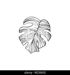 Silver Cloud Anlage Hand gezeichnet Abbildung. Zimmerpflanze split Leaf line Art Zeichnung. Philodendron, monstera leafage Kugelschreiber Skizze. Dekorative pflanze Designelemente. Botanische Umrisse clipart Stock Vektor