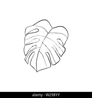 Philodendron Anlage line Art Illustration. Zimmerpflanze split Blatt Hand gezeichnet. Silver Cloud, monstera leafage Kugelschreiber Skizze. Dekorative pflanze Designelemente. Botanische Malbuch clipart Stock Vektor