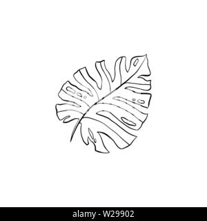 Philodendron Anlage line Art Illustration. Zimmerpflanze split Blatt Hand gezeichnet. Silver Cloud, monstera leafage Kugelschreiber Skizze. Dekorative pflanze Designelemente. Botanische Malbuch clipart Stock Vektor