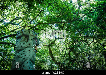 90 Kent County zeigen, Detling, 6. Juli 2019. Ein Junge klettert ein Kletterturm in Woodland. Stockfoto