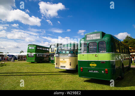 90 Kent County zeigen, Detling, 6. Juli 2019. Alte historische Greenline Bus Nummer 402 bis Pratts unten gehen. Stockfoto