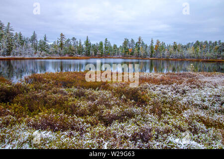 Michigan Winter Wonderland. Wunderschöne Wald mit frisch gefallenen Schnee in der Wüste noch Wasser eines Sees in der Oberen Halbinsel von Michigan nieder. Stockfoto