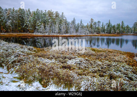 Michigan Winter Wonderland. Wunderschöne Wald mit frisch gefallenen Schnee in der Wüste noch Wasser eines Sees in der Oberen Halbinsel von Michigan nieder. Stockfoto