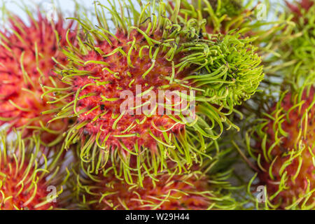 Closeup Rambutan ist eine Frucht mit süßen roten Schale Stockfoto